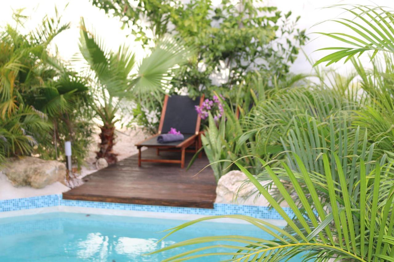 New House Tropic Paradise With Pool Willemstad Esterno foto